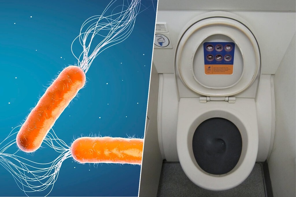 Nadie sabe cómo combatir las superbacterias, pero hay quienes ya son de ayuda: los que hacen caca en los aviones