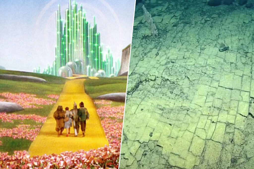 Creíamos que el «camino de baldosas amarillas» era coto privado del cine. Hasta que unos buzos descendieron a las profundidades